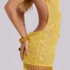 Ellora Embellished Mini Dress in Solar